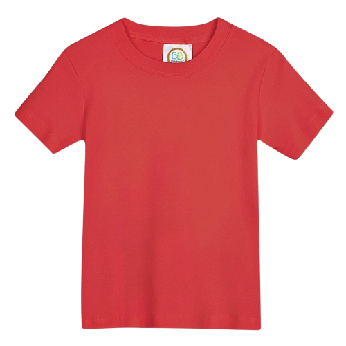 Boy's Short Sleeve Tshirt Bundle